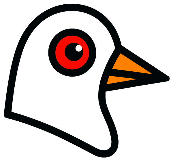 Crotte De Pigeon